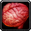 File:WoW inv misc organ 03.png