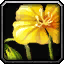 File:WoW inv misc flower 01.png