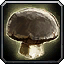 File:WoW inv mushroom 13.png