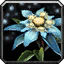 File:WoW inv misc herb snowlily.png