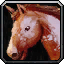 File:WoW ability mount ridinghorse.png