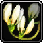 File:WoW inv misc flower 03.png