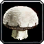 File:WoW inv mushroom 12.png