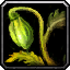 File:WoW inv misc herb 08.png