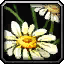 File:WoW inv misc flower 02.png