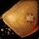 File:WoW inv misc food wheat 02.jpg