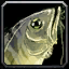 File:WoW inv misc fish 28.png