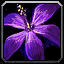 File:WoW inv misc herb 13.png