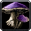 File:WoW inv mushroom 06.png