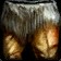 File:WoW inv pants wolf.jpg