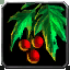 File:WoW inv misc plant 03.png