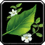 File:WoW ui profession herbalism.png