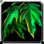 File:WoW inv misc plant 02.png