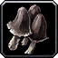 File:WoW inv mushroom 08.png