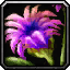 File:WoW inv misc flower 04.png