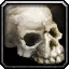 File:WoW inv misc bone humanskull 01.png